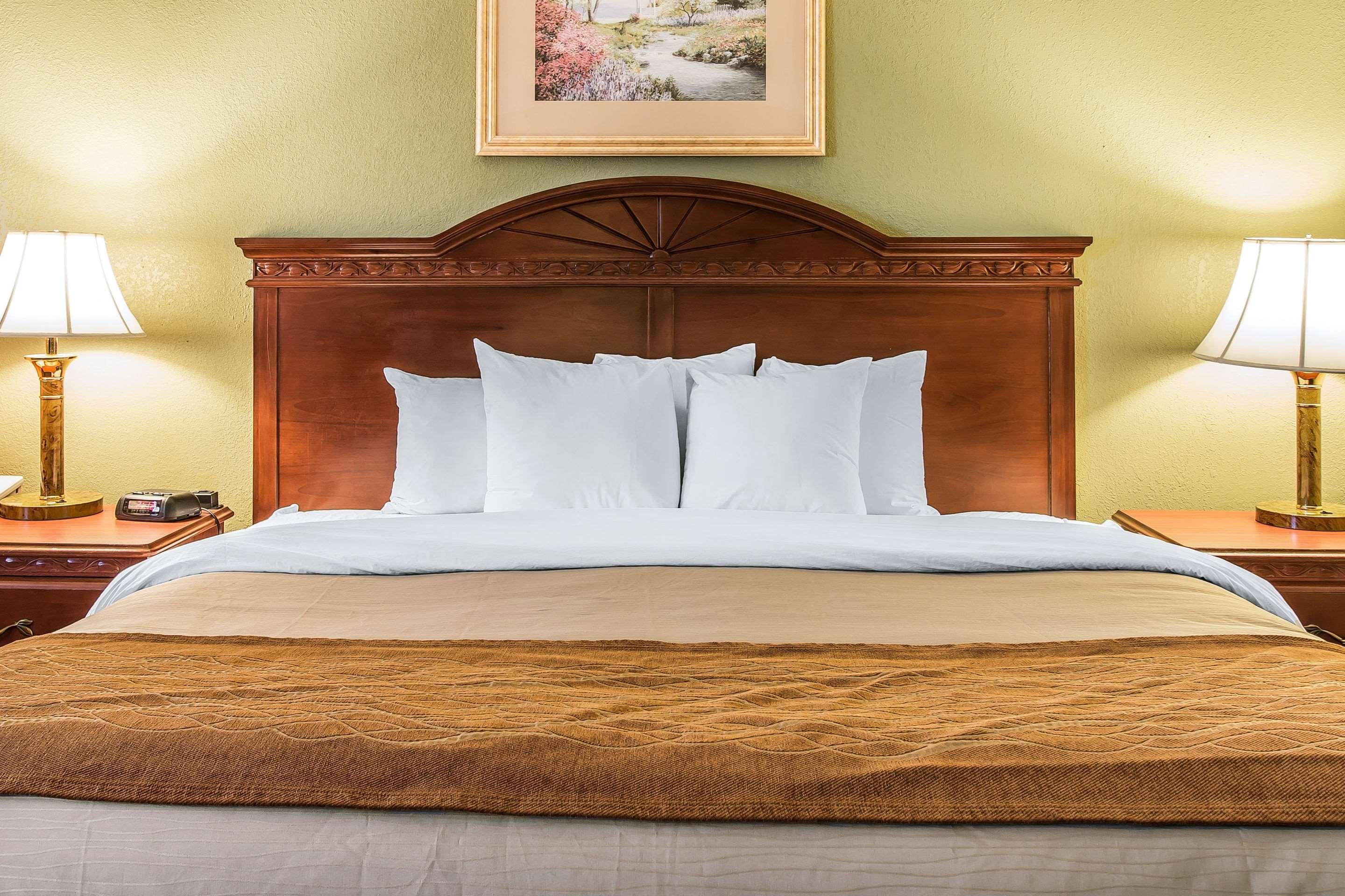 Quality Inn & Suites Ann Arbor Hwy 23 מראה חיצוני תמונה