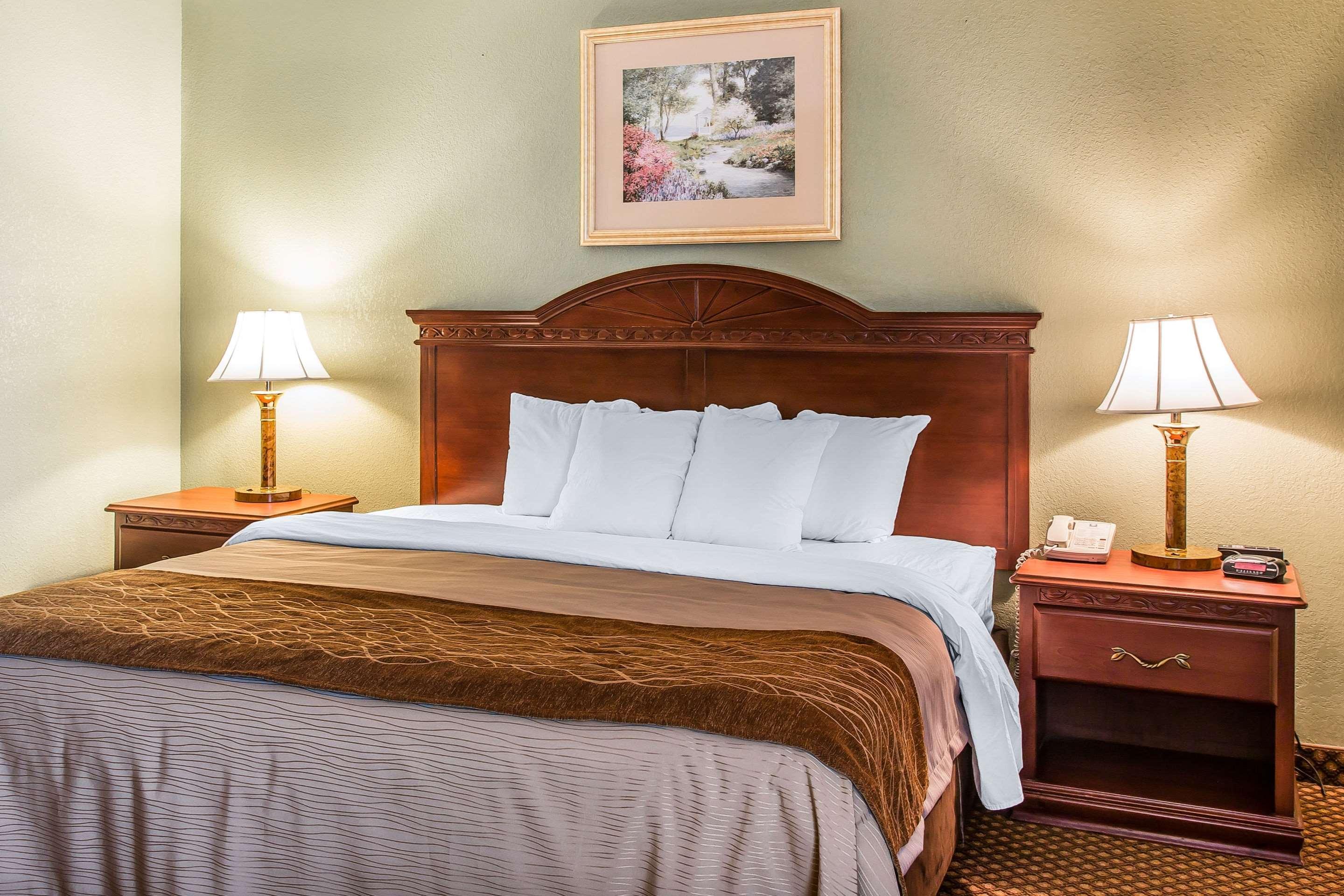 Quality Inn & Suites Ann Arbor Hwy 23 מראה חיצוני תמונה